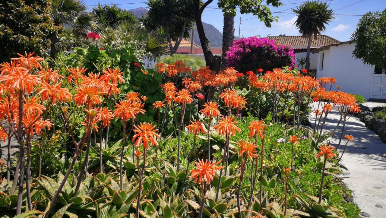 Finca Primavera El Paso Eksteriør billede