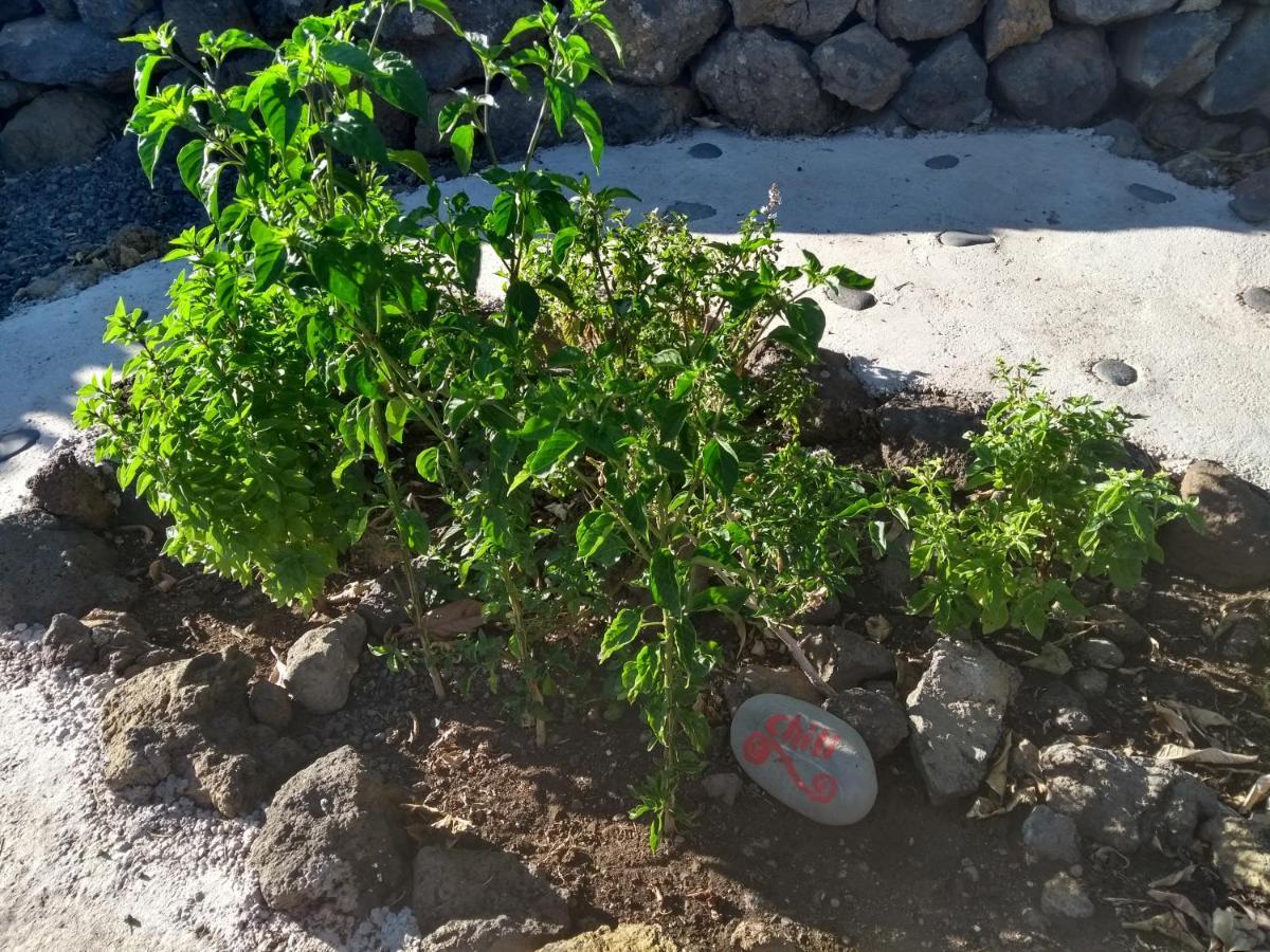 Finca Primavera El Paso Eksteriør billede